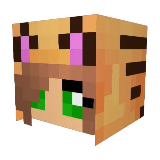 Tottypinja Minecraft avatar head, 3D render