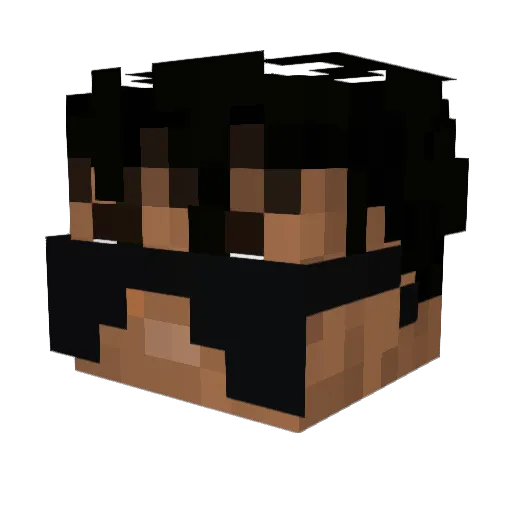 Toty142 Minecraft avatar head, 3D render