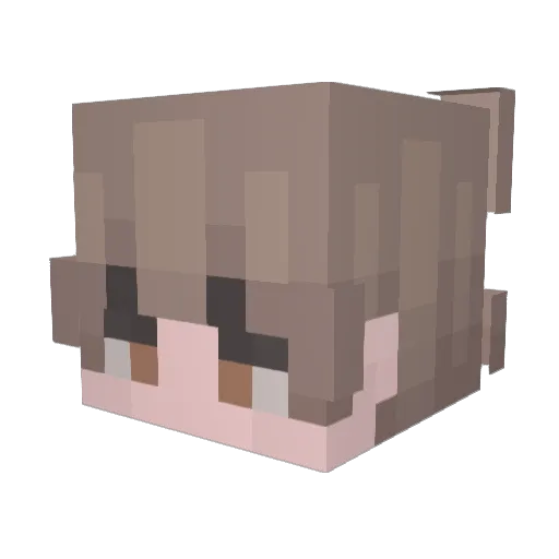 Totys01 Minecraft avatar head, 3D render