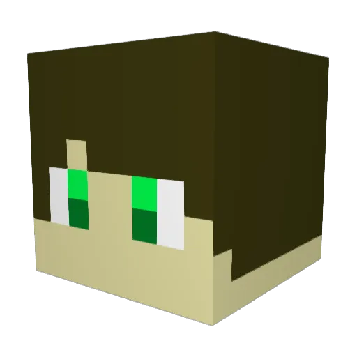 TouRist18 Minecraft avatar head, 3D render