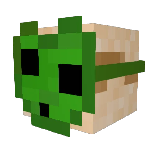 TouTom Minecraft avatar head, 3D render