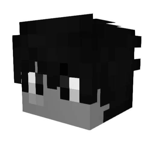 Toucan15 Minecraft avatar head, 3D render