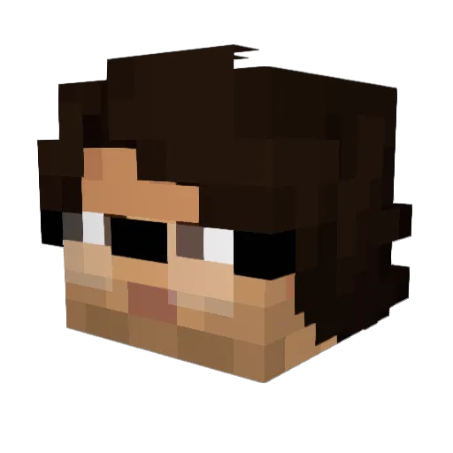 ToucanLuja Minecraft avatar head, 3D render