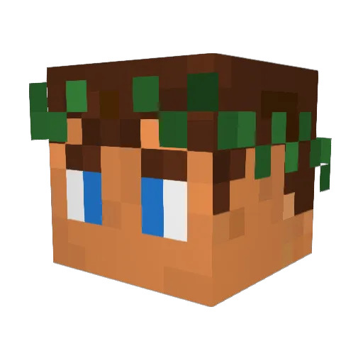 ToucanSam05 Minecraft avatar head, 3D render