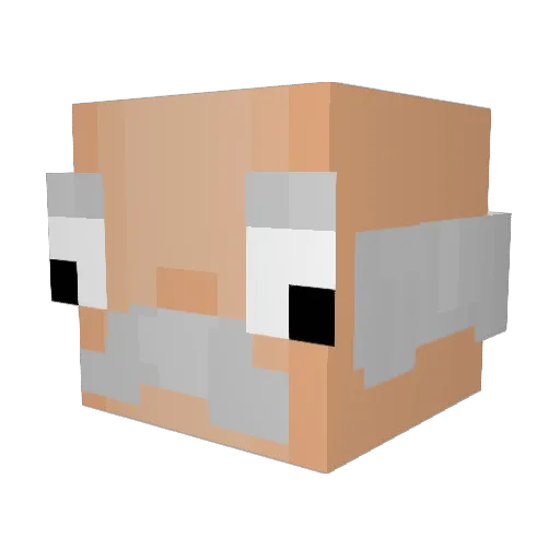 TouchEiEi Minecraft avatar head, 3D render