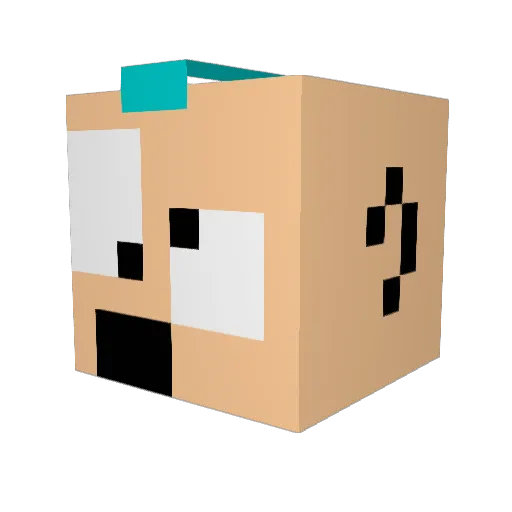 TouchMyCube Minecraft avatar head, 3D render