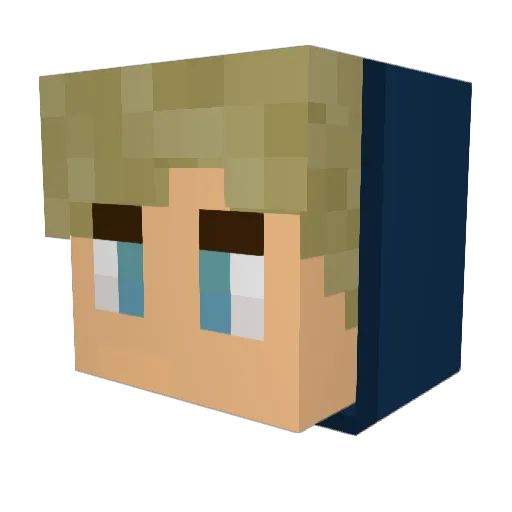 Touch_Some_Grass Minecraft avatar head, 3D render