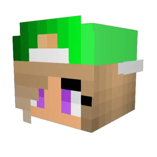 TouchedTheRat Minecraft avatar head, 3D render