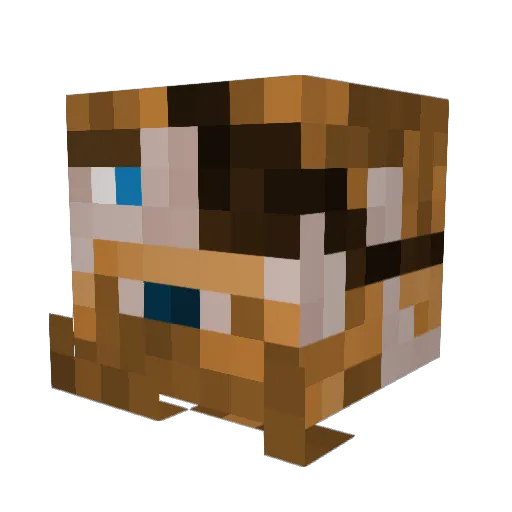 TouchiestMold48 Minecraft avatar head, 3D render