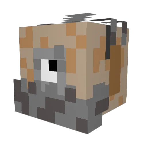 TouchingBark661 Minecraft avatar head, 3D render