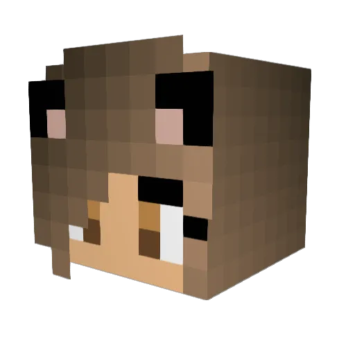 Touchoco Minecraft avatar head, 3D render