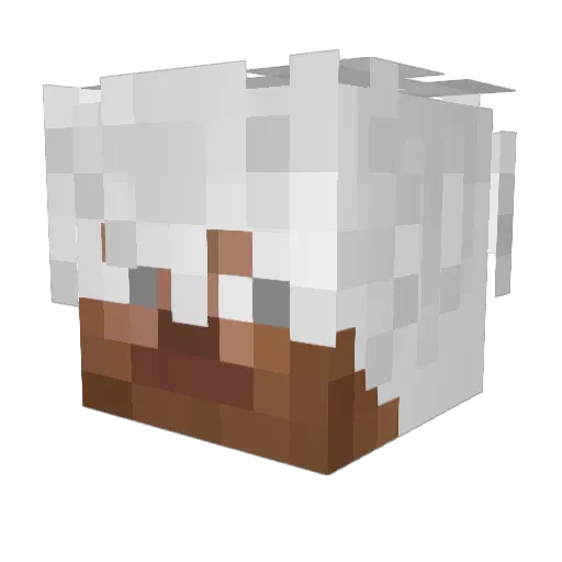 TouchyToasty Minecraft avatar head, 3D render