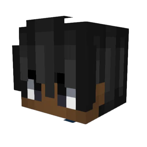 Toud792 Minecraft avatar head, 3D render