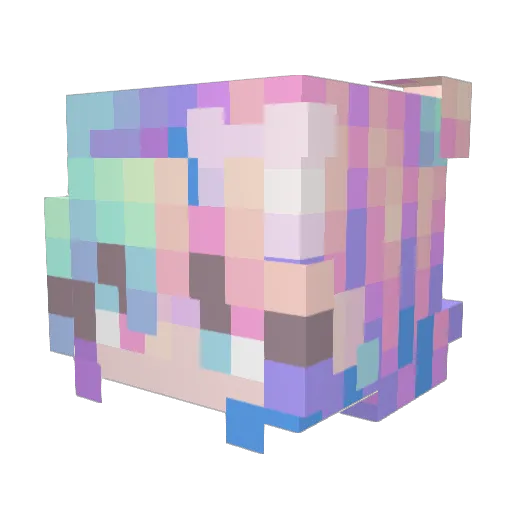 Touel Minecraft avatar head, 3D render