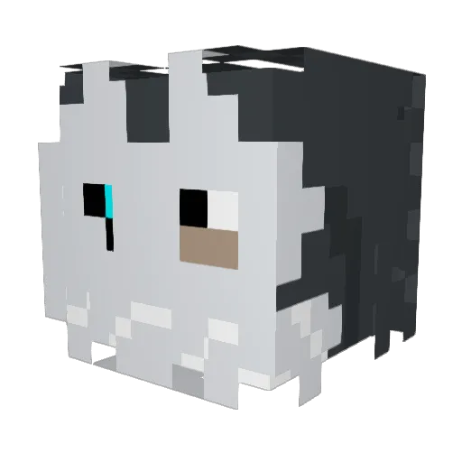 ToughWendy Minecraft avatar head, 3D render