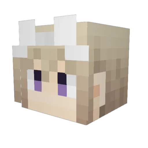 Toukitoki Minecraft avatar head, 3D render