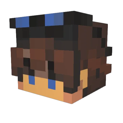 Toukka125 Minecraft avatar head, 3D render