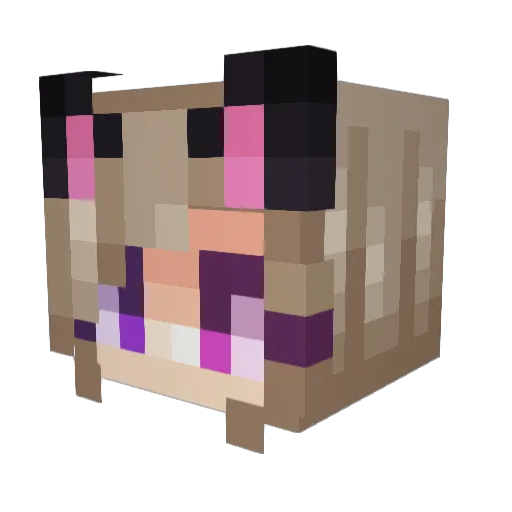ToupanAngerIssue Minecraft avatar head, 3D render