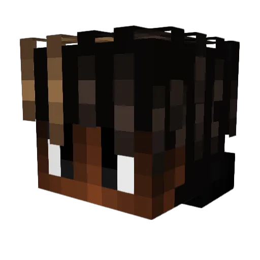 Toupie Minecraft avatar head, 3D render