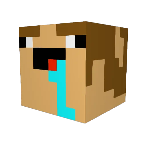 TouretteWerner Minecraft avatar head, 3D render