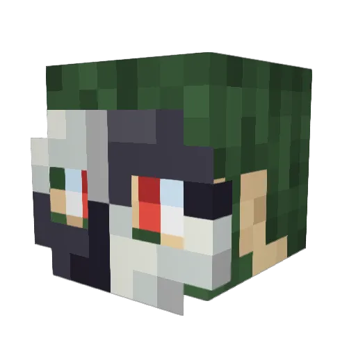 TourmalineIris Minecraft avatar head, 3D render
