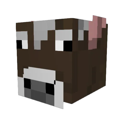 Tourtoblette Minecraft avatar head, 3D render