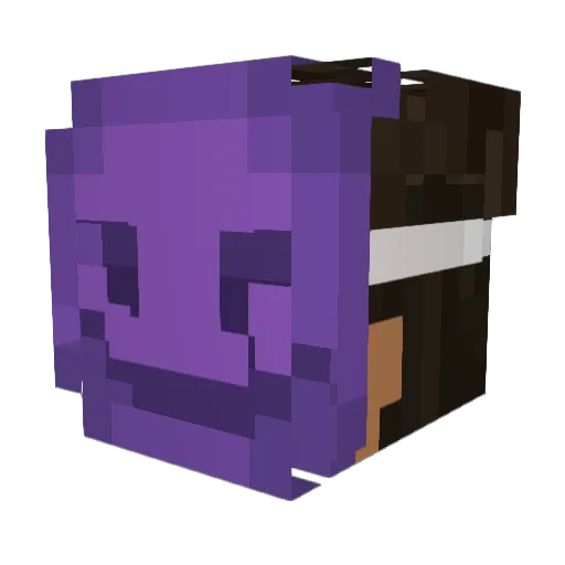 TousLesJours Minecraft avatar head, 3D render