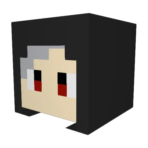 Toutu1341 Minecraft avatar head, 3D render