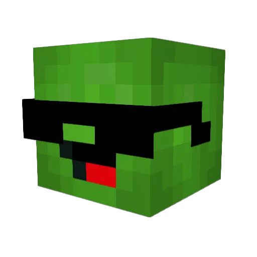 Touues Minecraft avatar head, 3D render