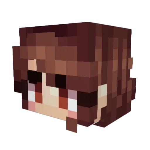 TovaMaster Minecraft avatar head, 3D render