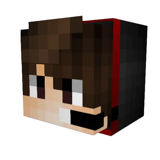 Tova_ Minecraft avatar head, 3D render