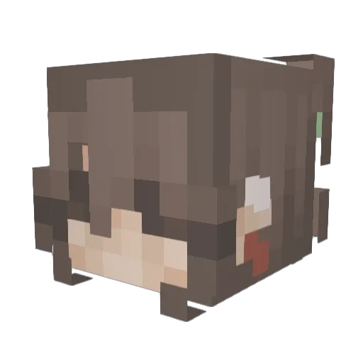 ToveTott08 Minecraft avatar head, 3D render