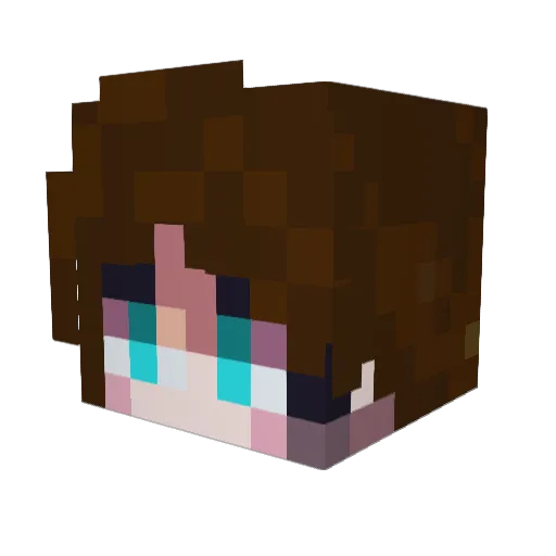 Tovis25 Minecraft avatar head, 3D render
