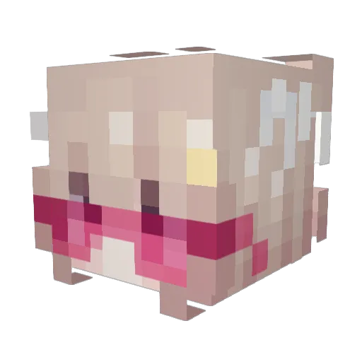 TowaDoggo Minecraft avatar head, 3D render