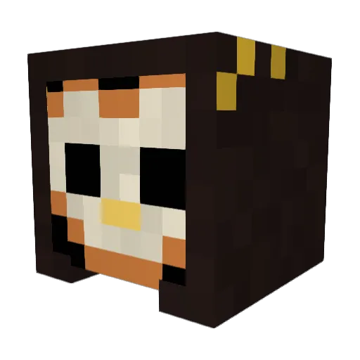 TowableTurtle44 Minecraft avatar head, 3D render