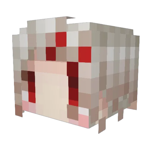 Toway_ Minecraft avatar head, 3D render