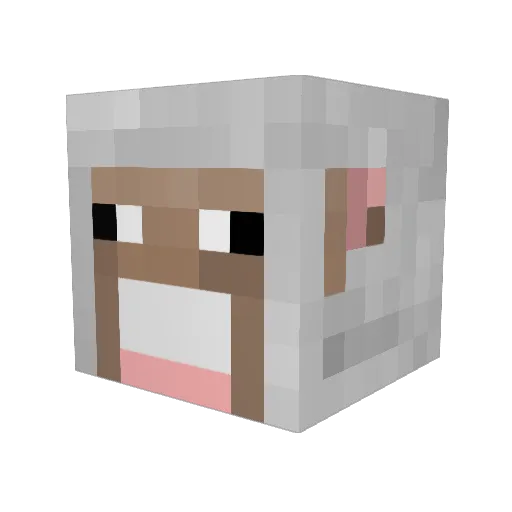 Towbiekun1991 Minecraft avatar head, 3D render