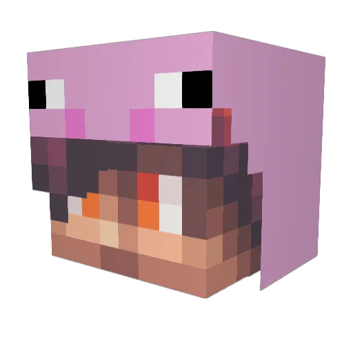 TowelTavish Minecraft avatar head, 3D render