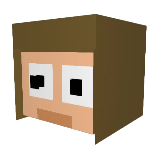 Towelie040 Minecraft avatar head, 3D render