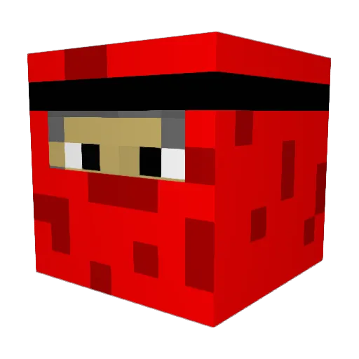 TowerHater Minecraft avatar head, 3D render