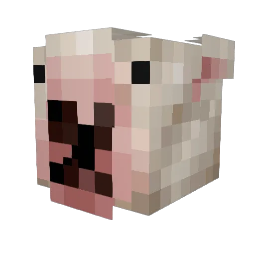 Towie_ Minecraft avatar head, 3D render