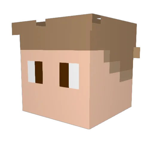 Towns3nd Minecraft avatar head, 3D render