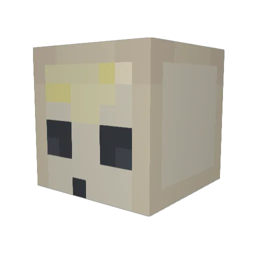 Towse Minecraft avatar head, 3D render