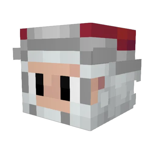 Towsie21 Minecraft avatar head, 3D render