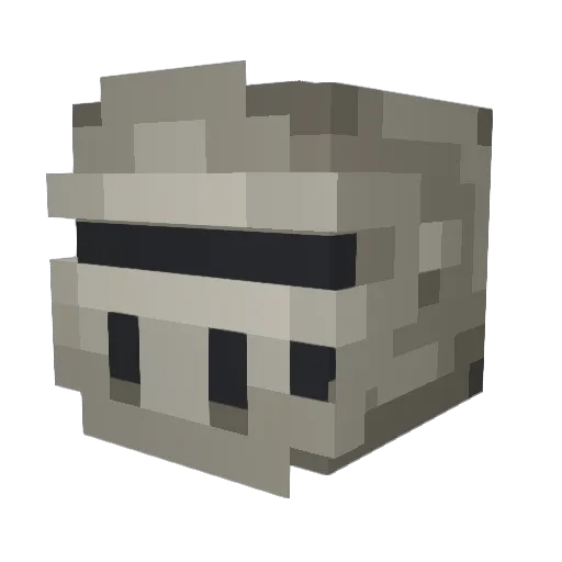 Tox1cSquirrel Minecraft avatar head, 3D render