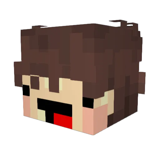 Tox1cVxpe Minecraft avatar head, 3D render