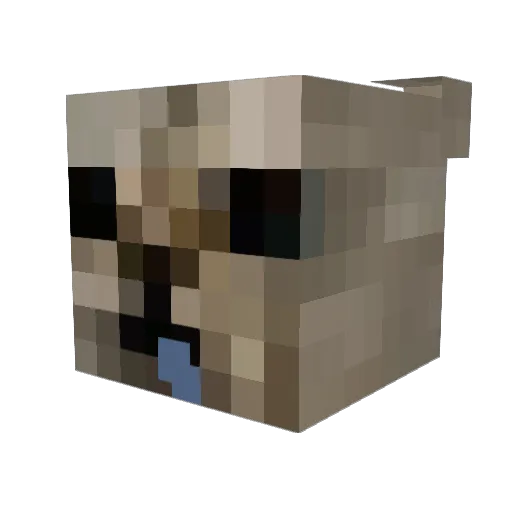 Toxeon Minecraft avatar head, 3D render