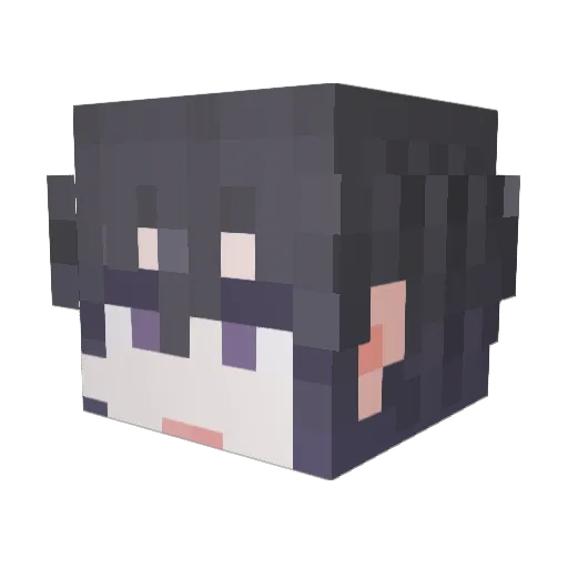 Toxic07 Minecraft avatar head, 3D render