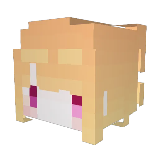 Toxic169577 Minecraft avatar head, 3D render