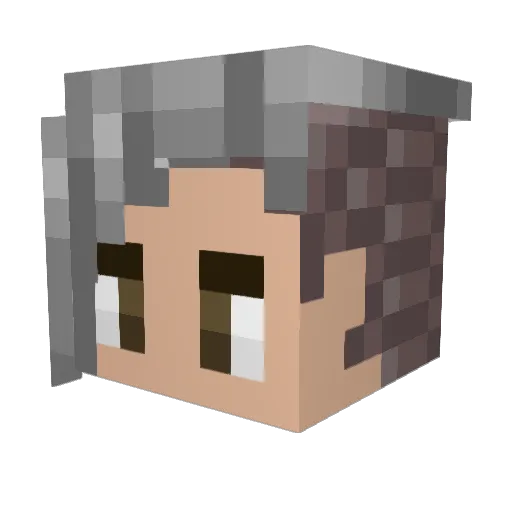 Toxic202 Minecraft avatar head, 3D render